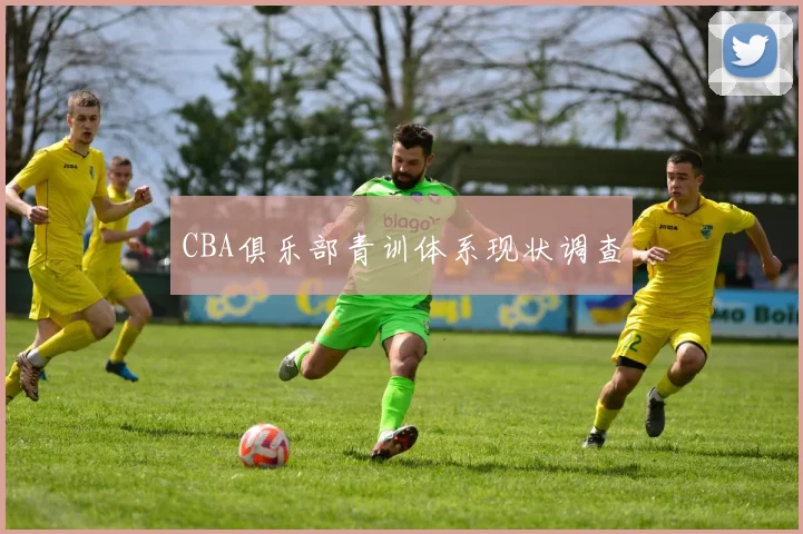 CBA俱乐部青训体系现状调查