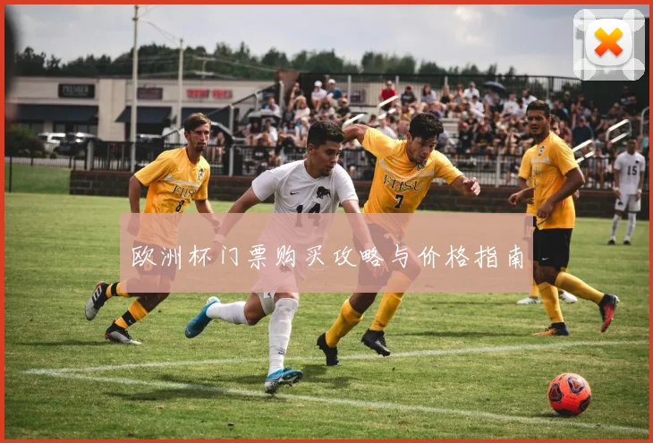 欧洲杯门票购买攻略与价格指南